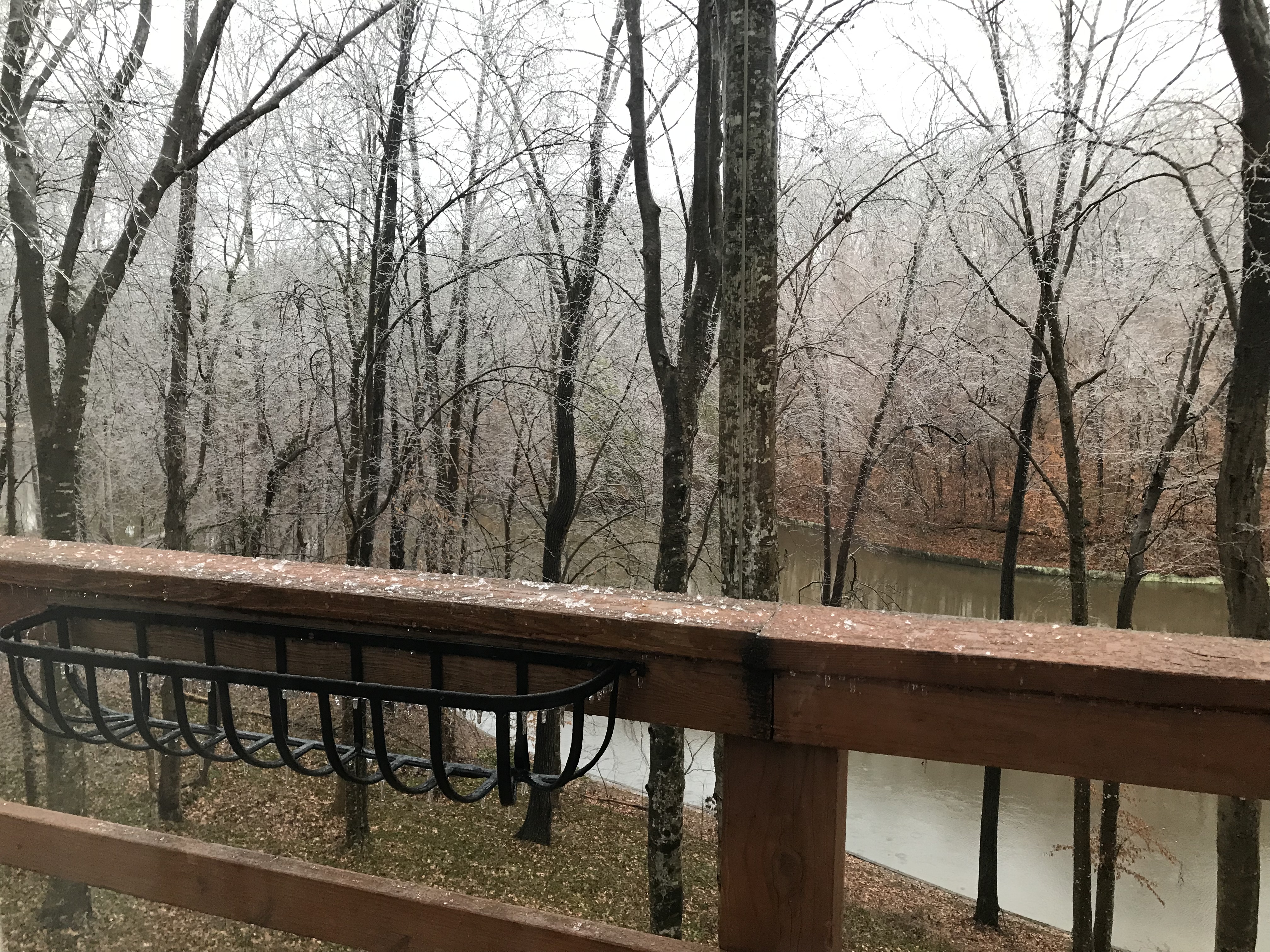 Ice Storm, Trees and Limbs falling all around us!