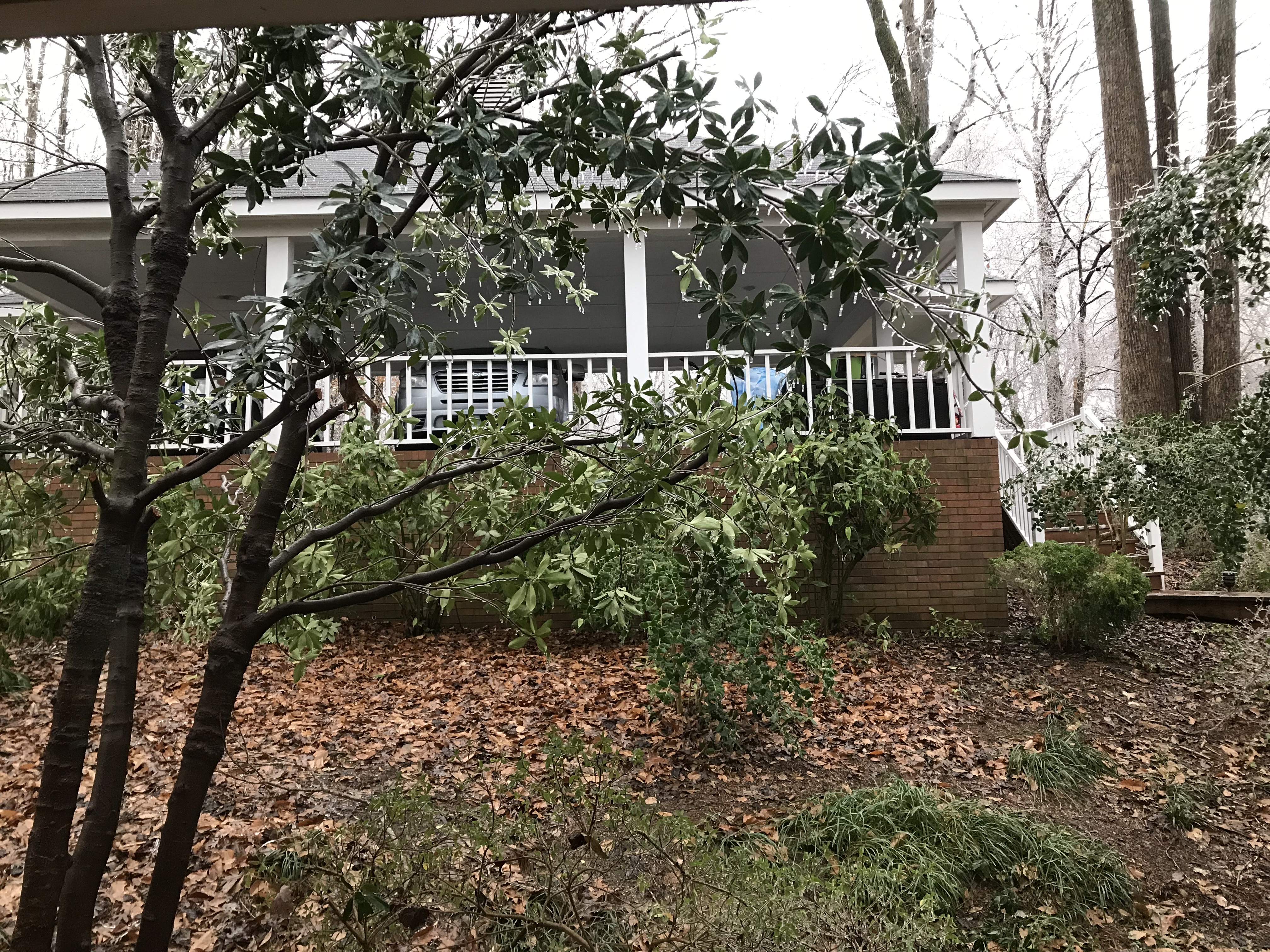 Ice Storm, Trees and Limbs falling all around us!