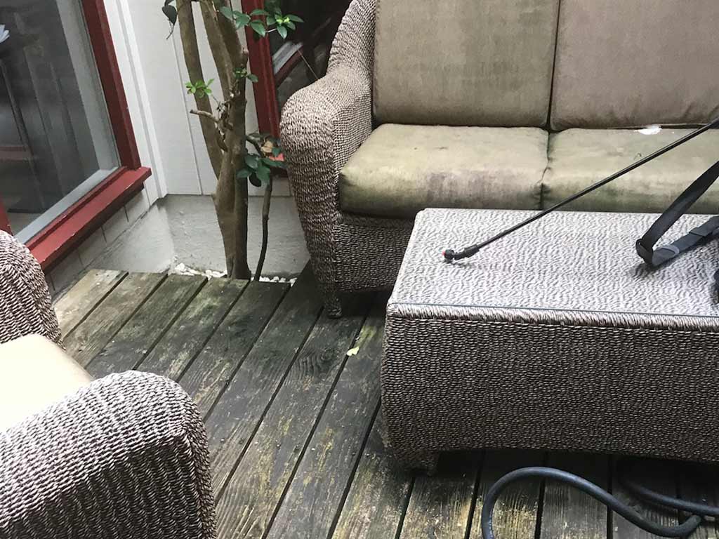 Mildew growth on decking surface and patior furniture