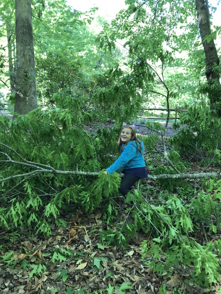 Child having fun on a fallen tree