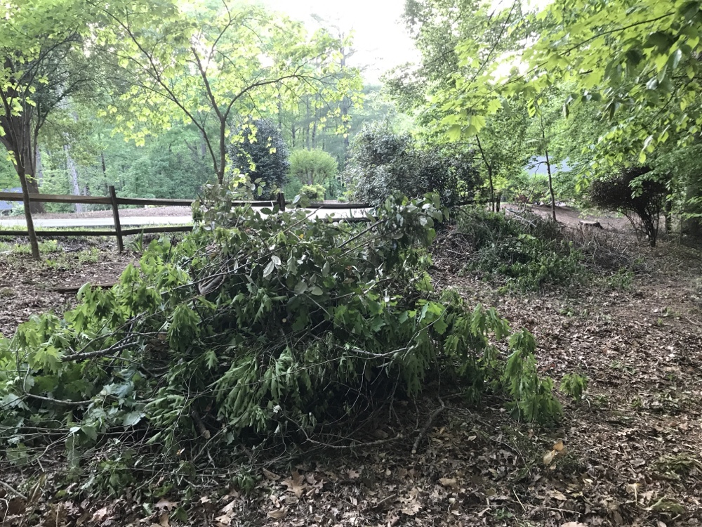 Pile of fallen debris from a storm