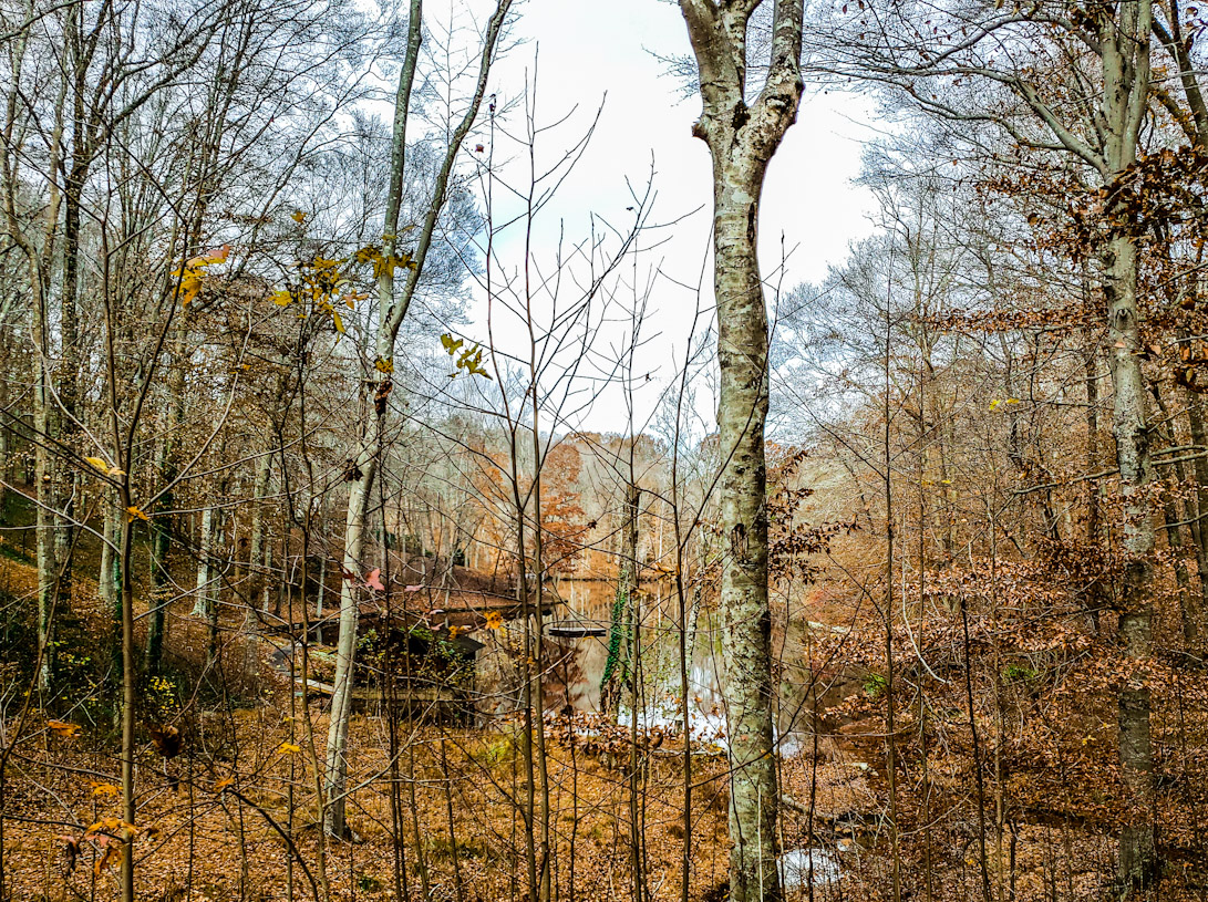 Take a Hiking Around The Lake