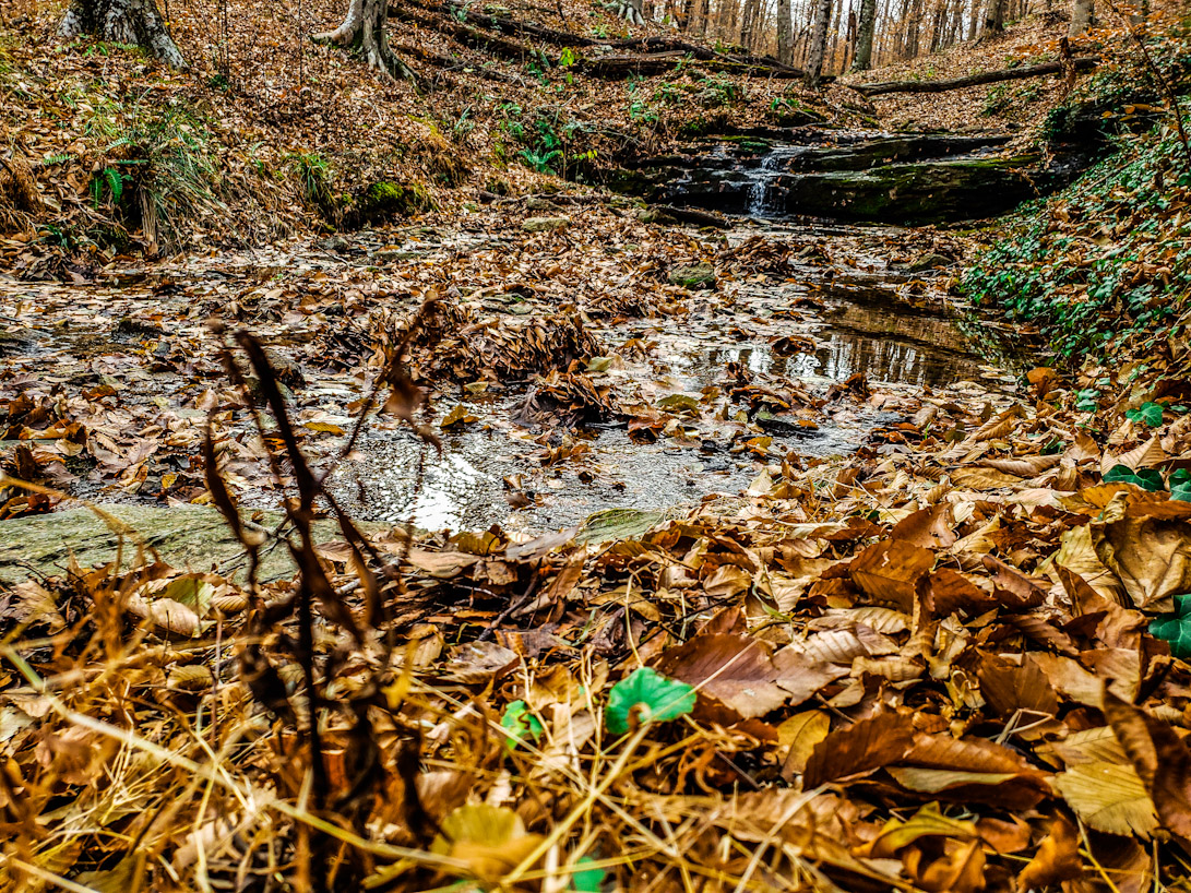 Take a Hiking Around The Lake