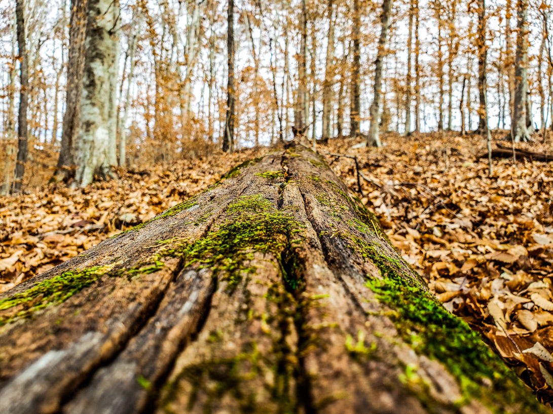 Take a Hiking Around The Lake