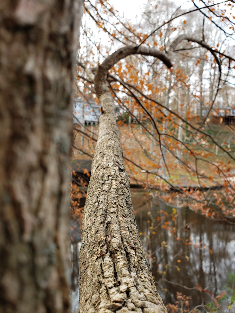 Take a Hiking Around The Lake