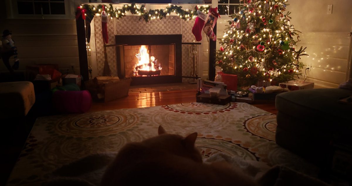 Mid-Century Modern Christmas Living room