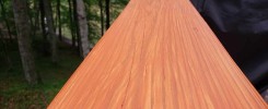 Fresh Sand and stain deck railing