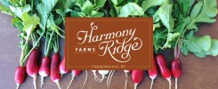 Harmoney Ridge Farm Tobaccoville North Carolina