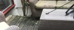 Mildew growth on decking surface and patior furniture