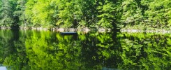 Relaxing Spring Morning Video