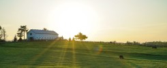 white house beside grass field